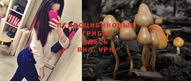 Галлюциногенные грибы Magic Shrooms  купить наркотик  MEGA онион  Кемь 